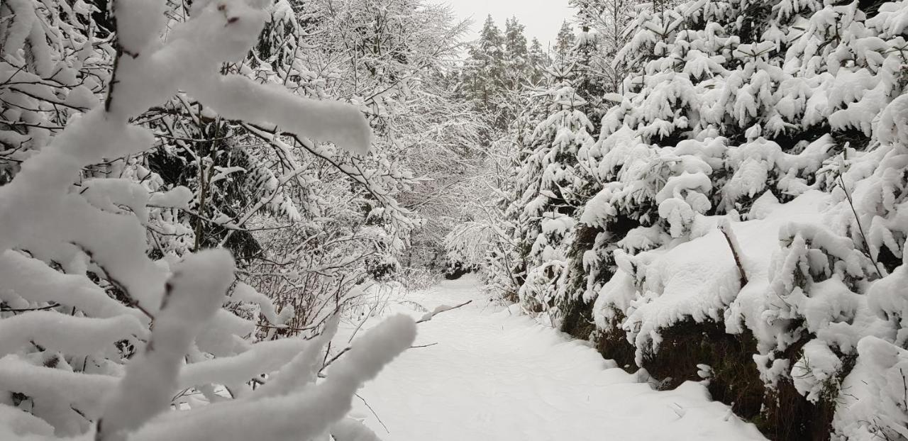Podskali Adrspach Teplice nad Metují Екстериор снимка